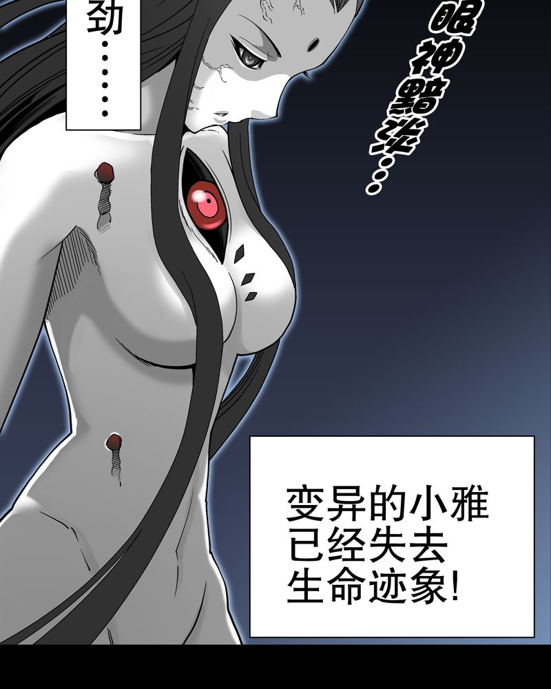 第55章：援军12