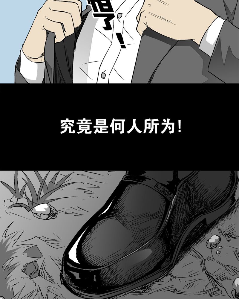 第65章：似幻非幻40