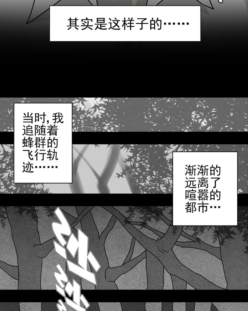 第5章：蜂女下12