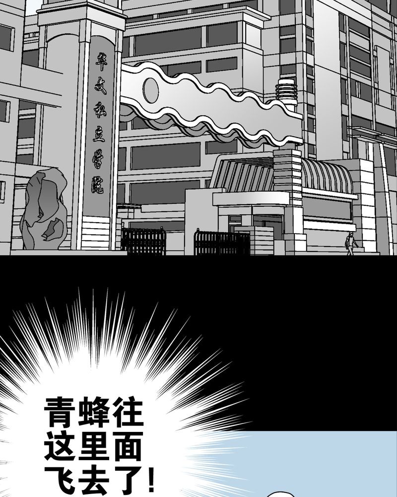 第28章：青峰的指引27