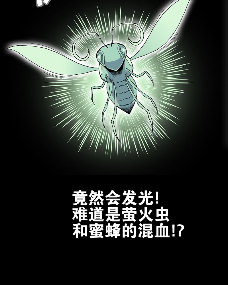 第27章：复活的条件38