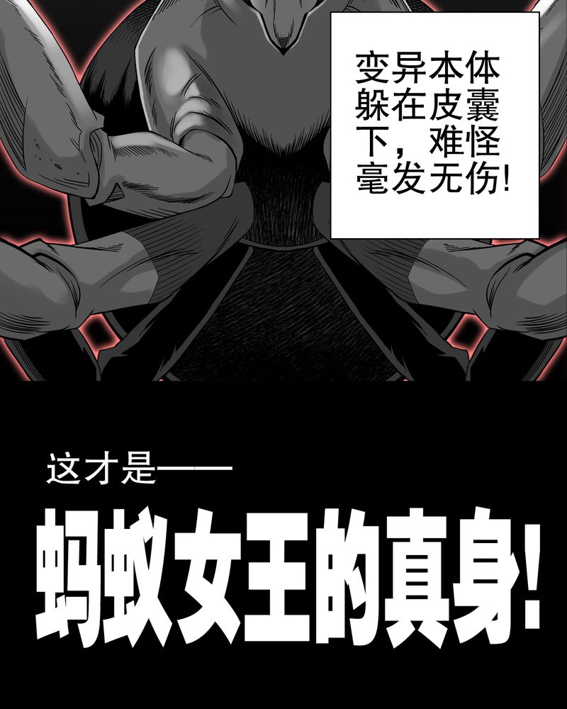 第55章：援军29