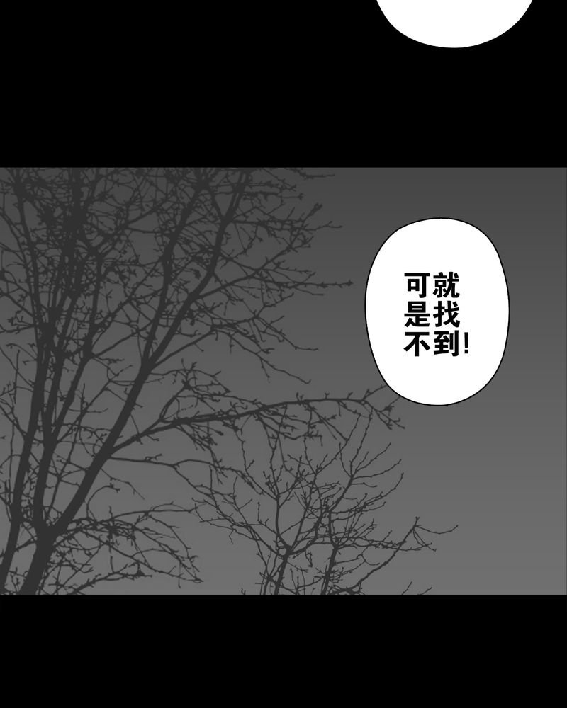 第73章：改变历史12