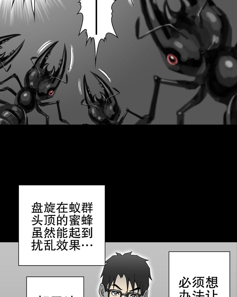 第57章：冒险的选择45