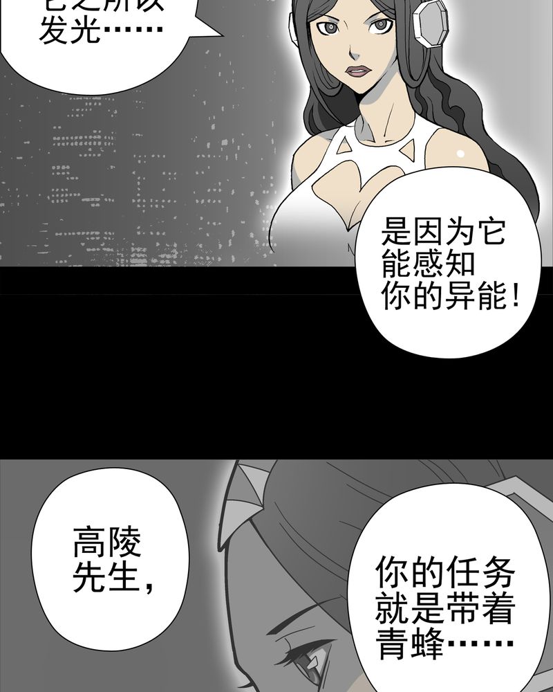 第27章：复活的条件40