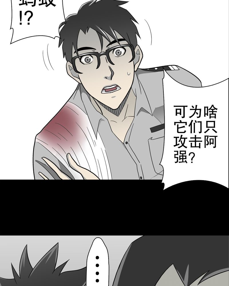 第45章：铜帆船5