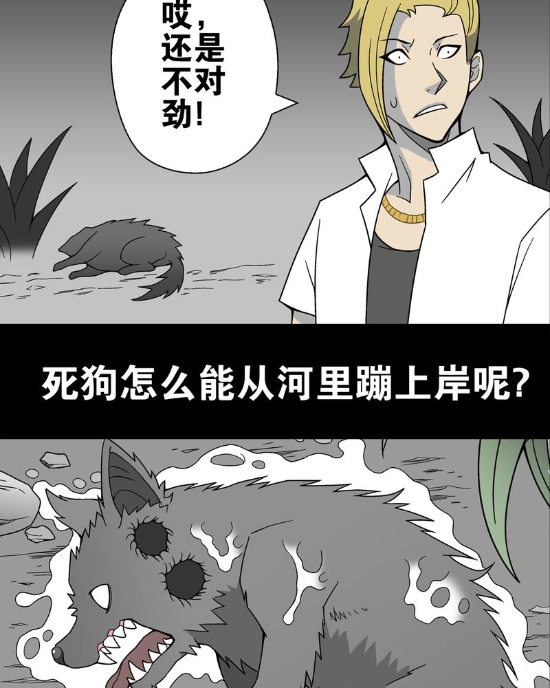 第16章：比目鱼阿强12