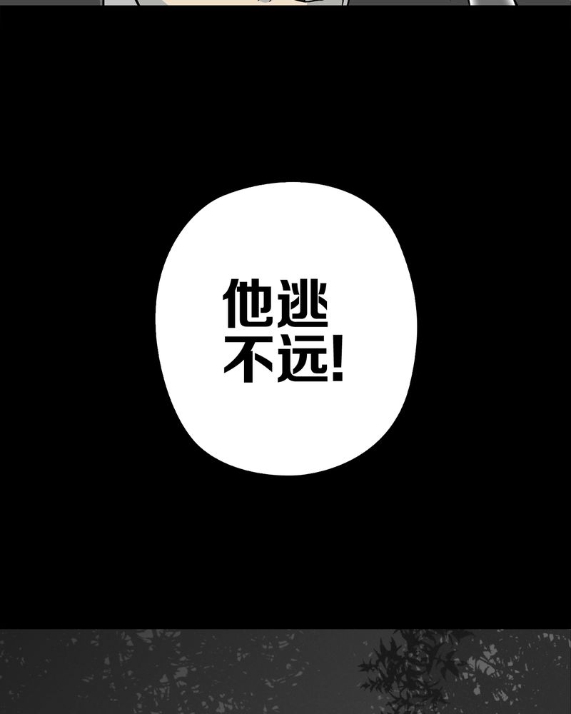第75章：老仇人47