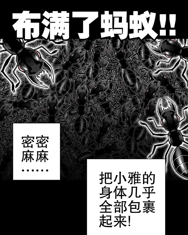 第52章：蜕变40