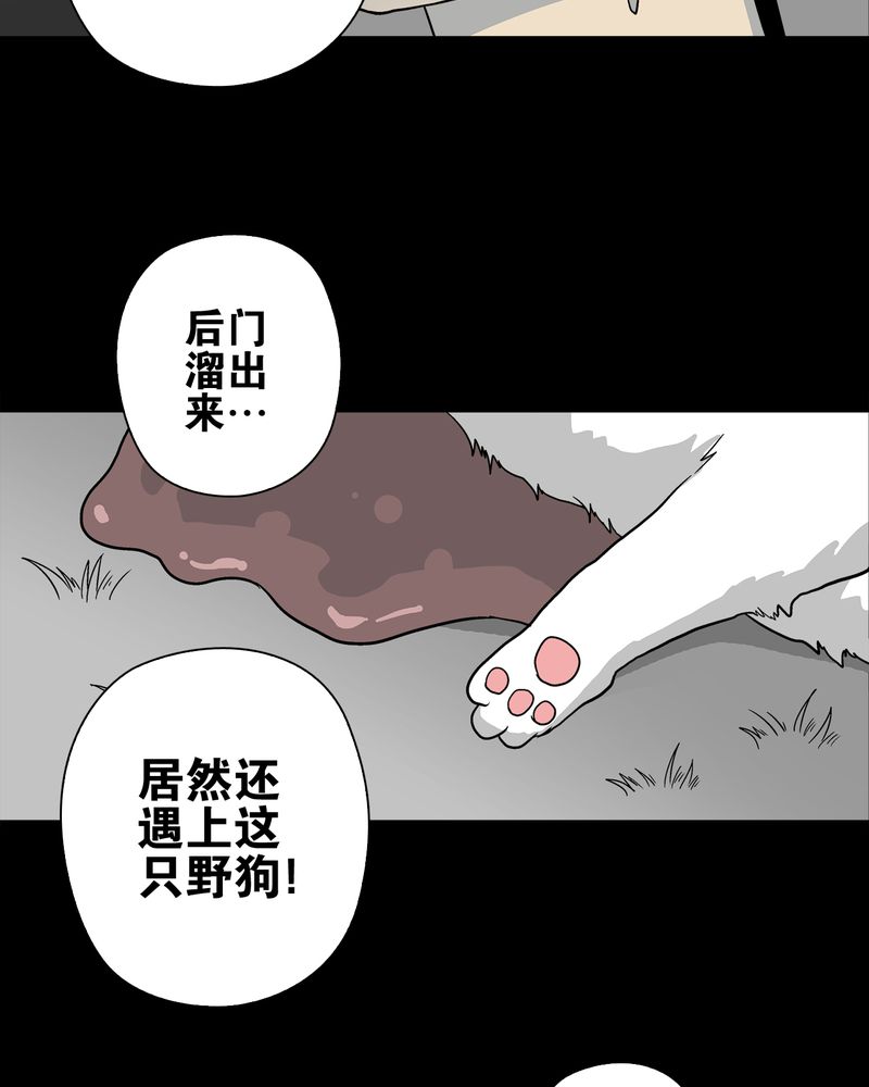 第73章：改变历史57