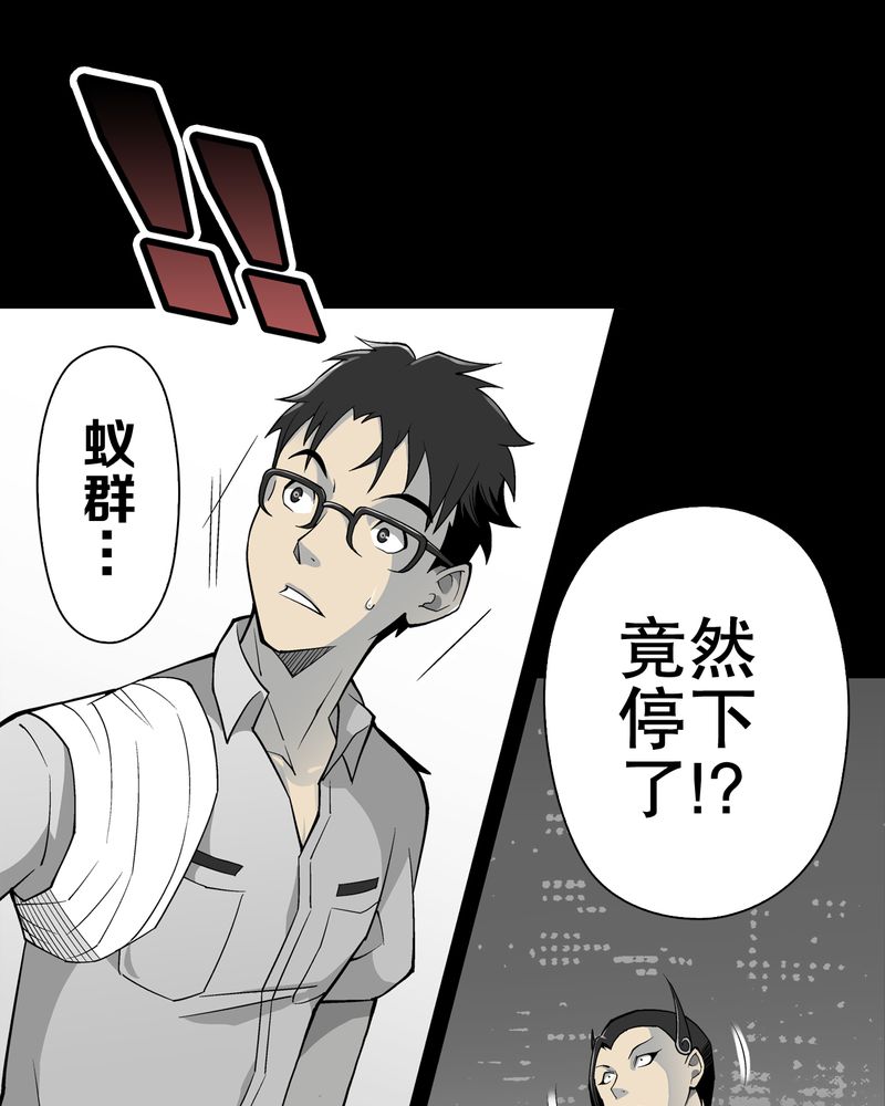 第54章：龙可峰的壮举23