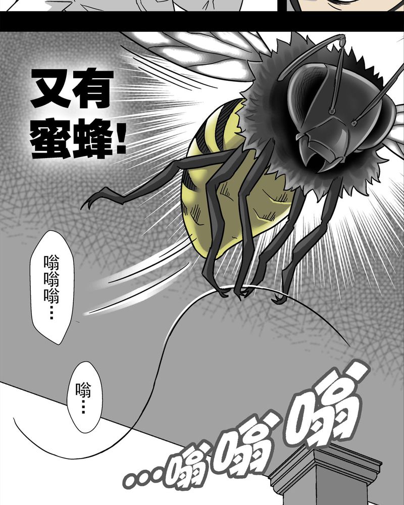 第4章：蜂女中21