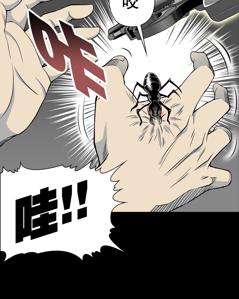 第55章：援军4