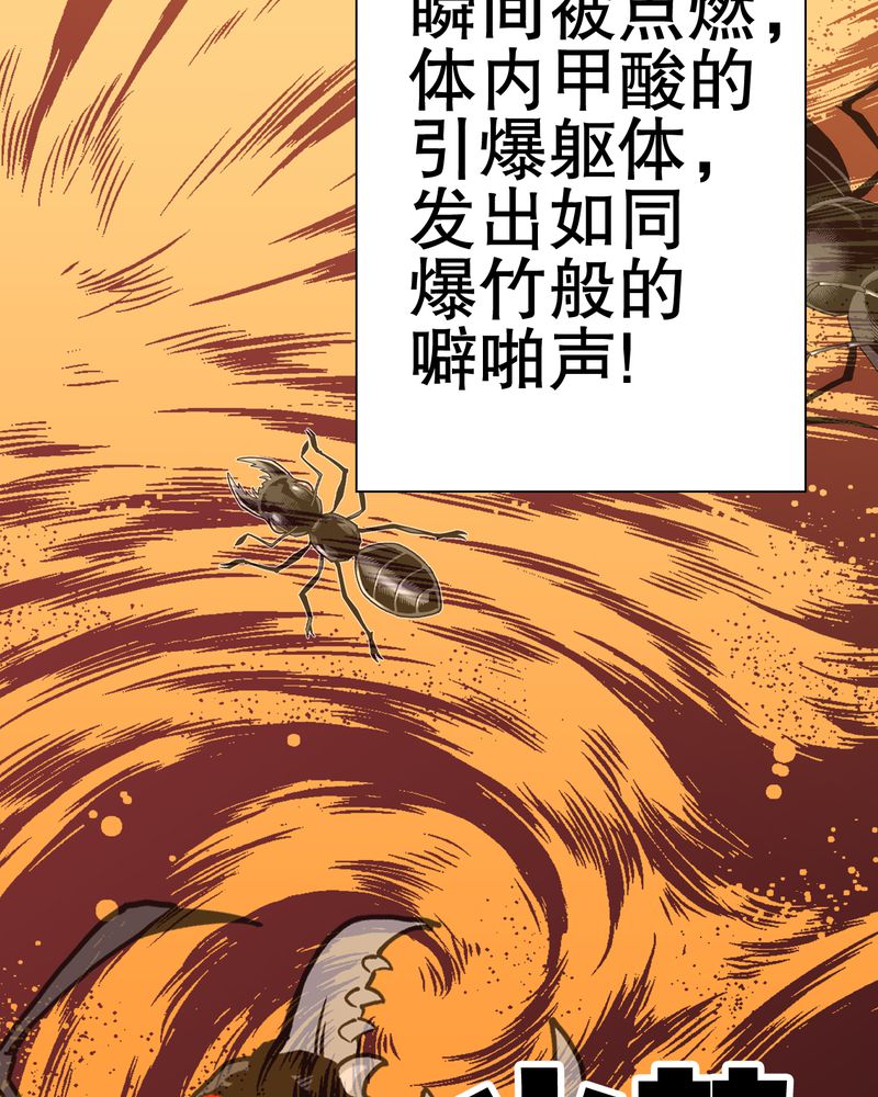 第58章：高陵的火球术60