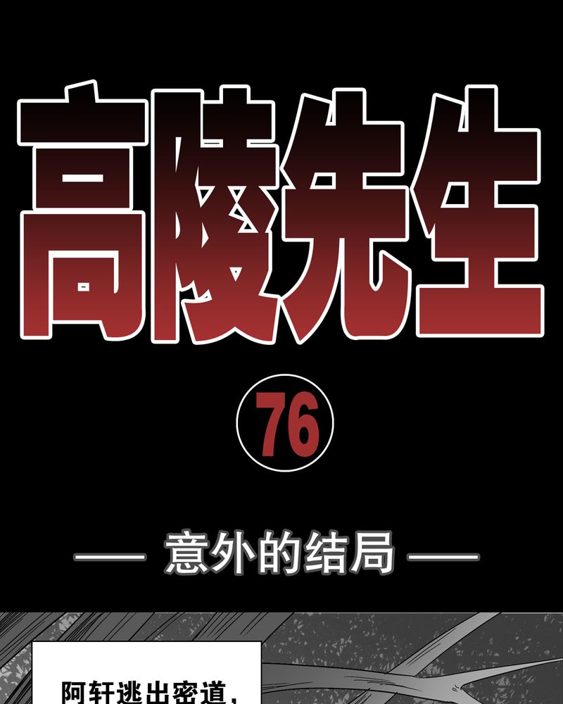 第76章：意外的结局0