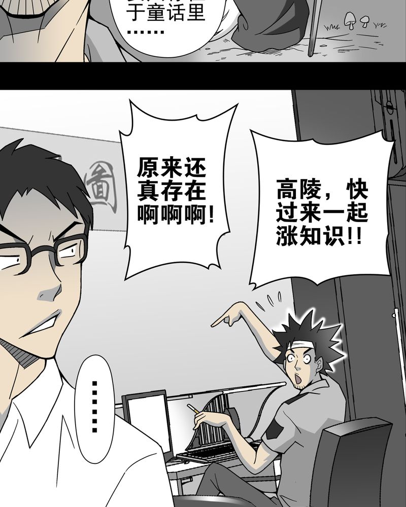 第14章：黑暗前的黎明18