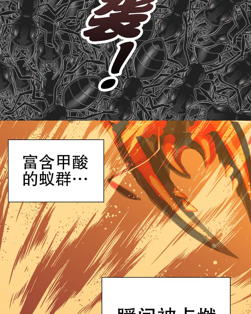 第58章：高陵的火球术59