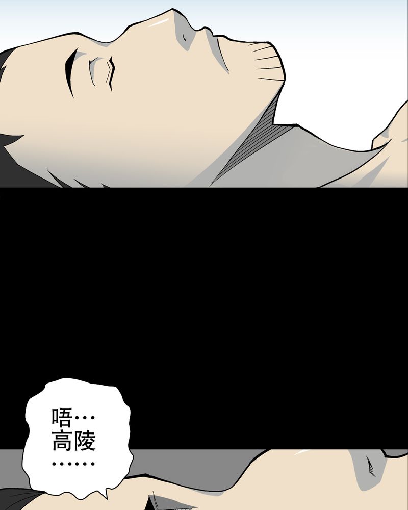 第65章：似幻非幻3