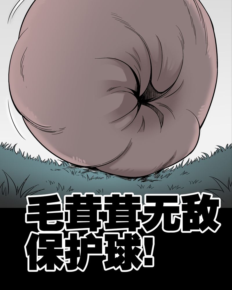 第55章：援军46