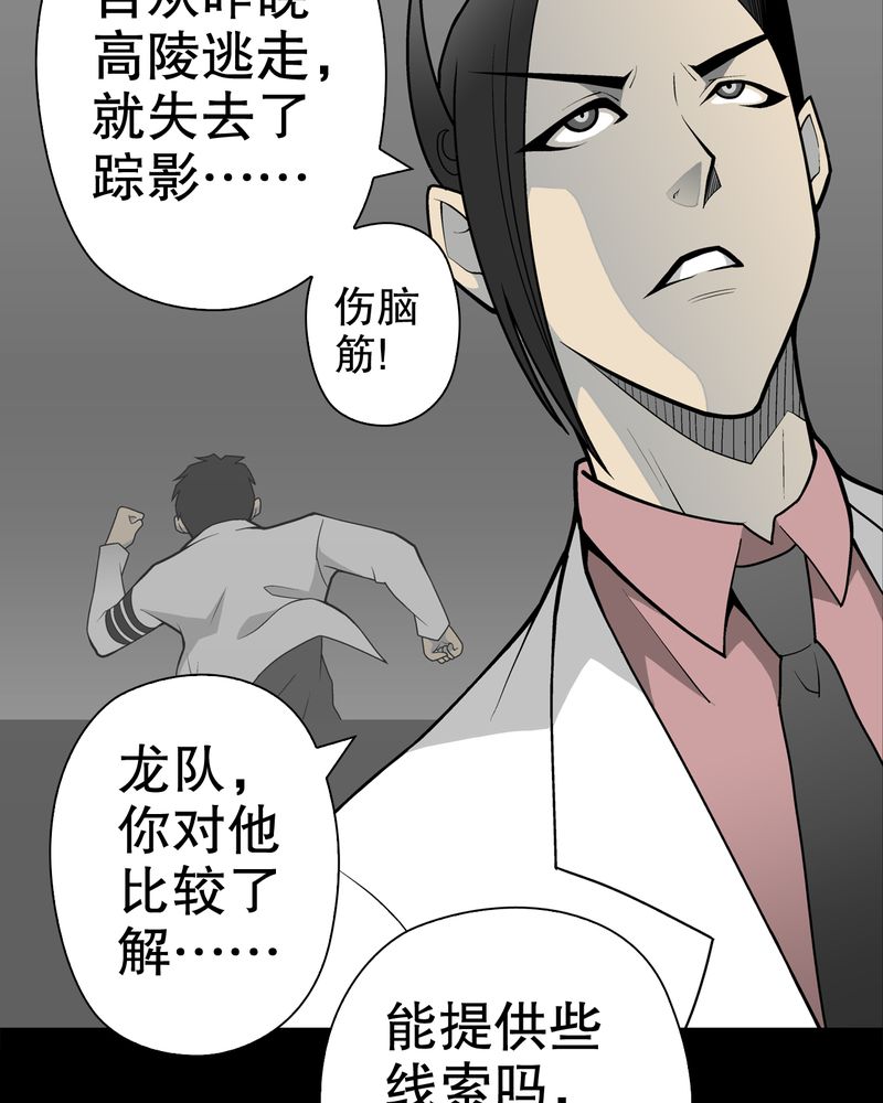 第31章：反常13