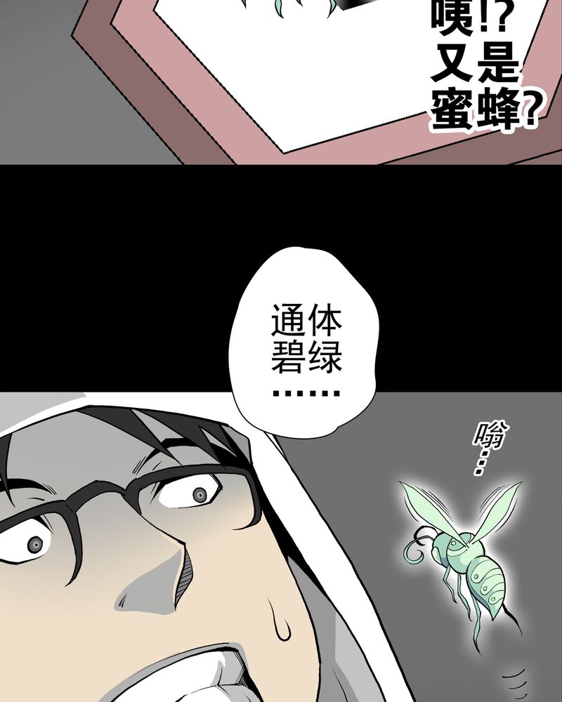 第27章：复活的条件36