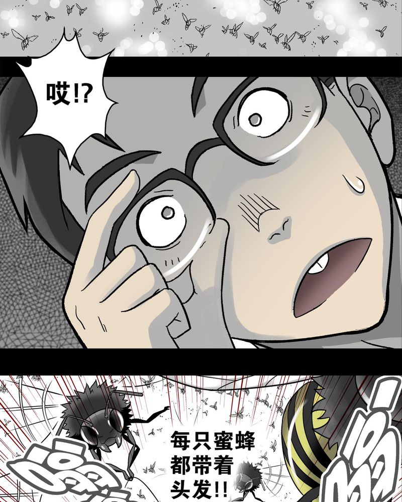 第4章：蜂女中24