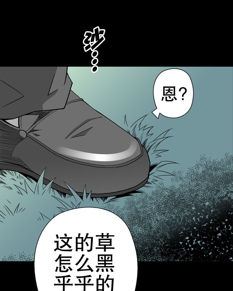 第48章：初识之地31