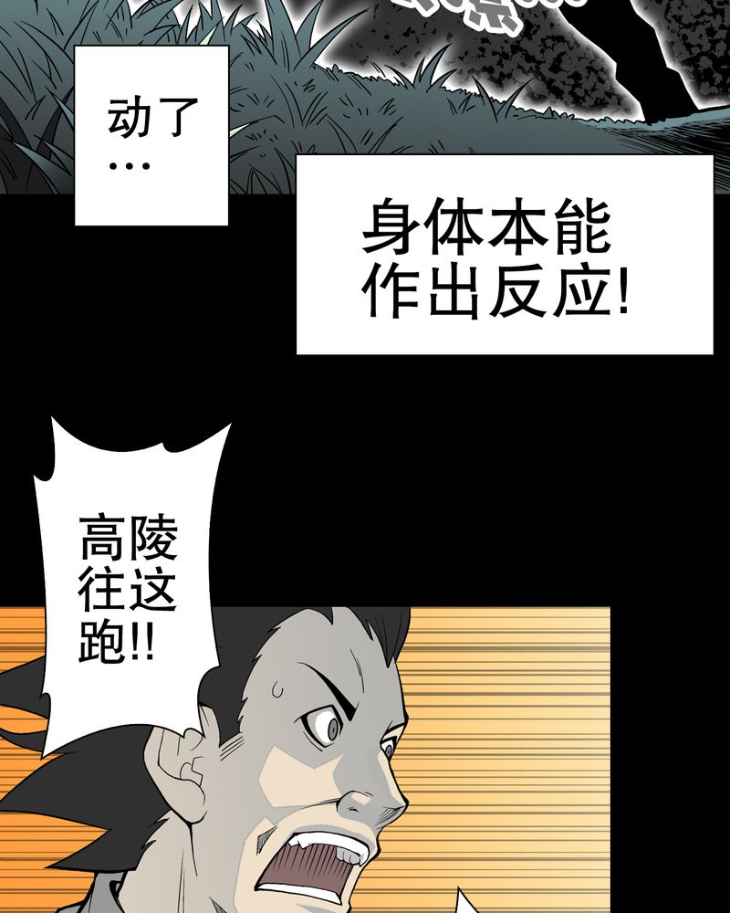第54章：龙可峰的壮举9