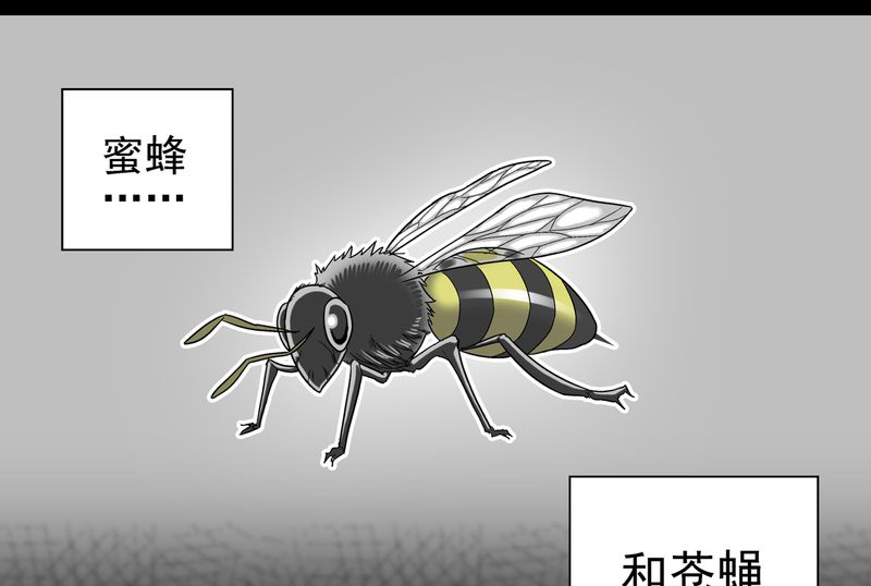 第3章：蜂女上0