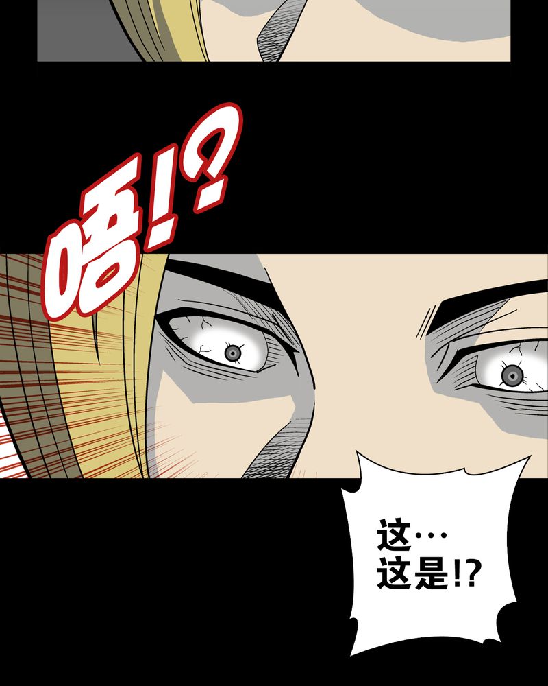 第22章：引狼入室24