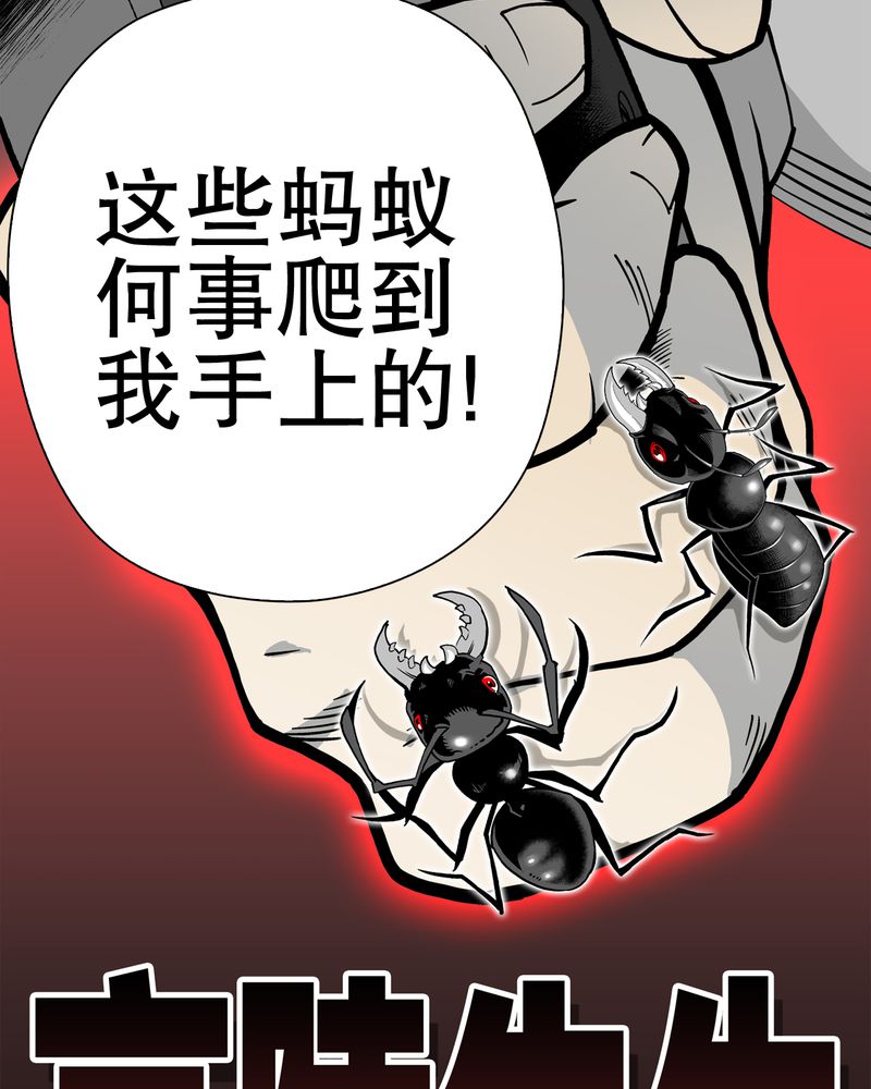 第55章：援军1