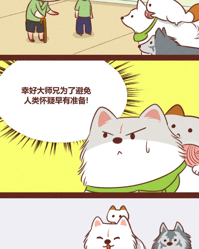 第31章：13