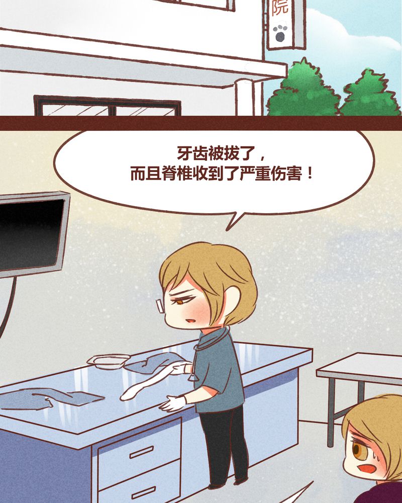 第72章：44