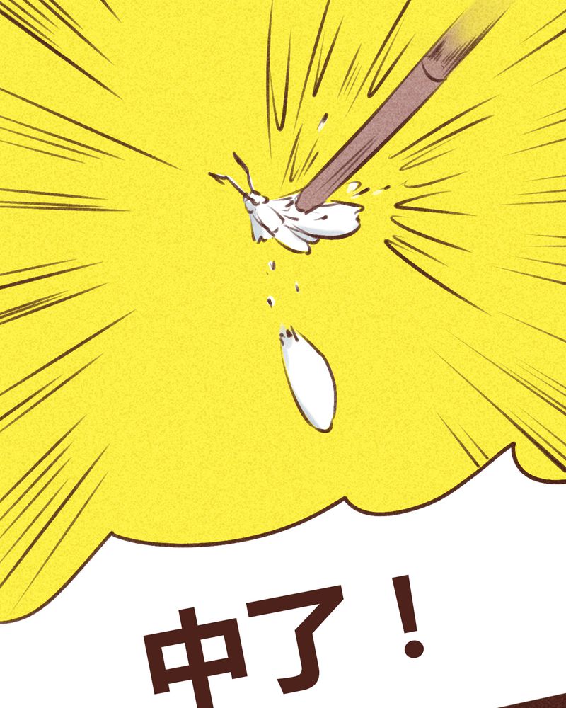 第95章：66
