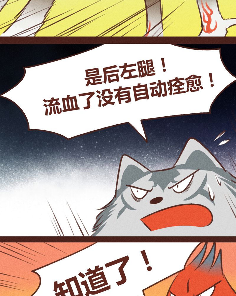 第46章：31