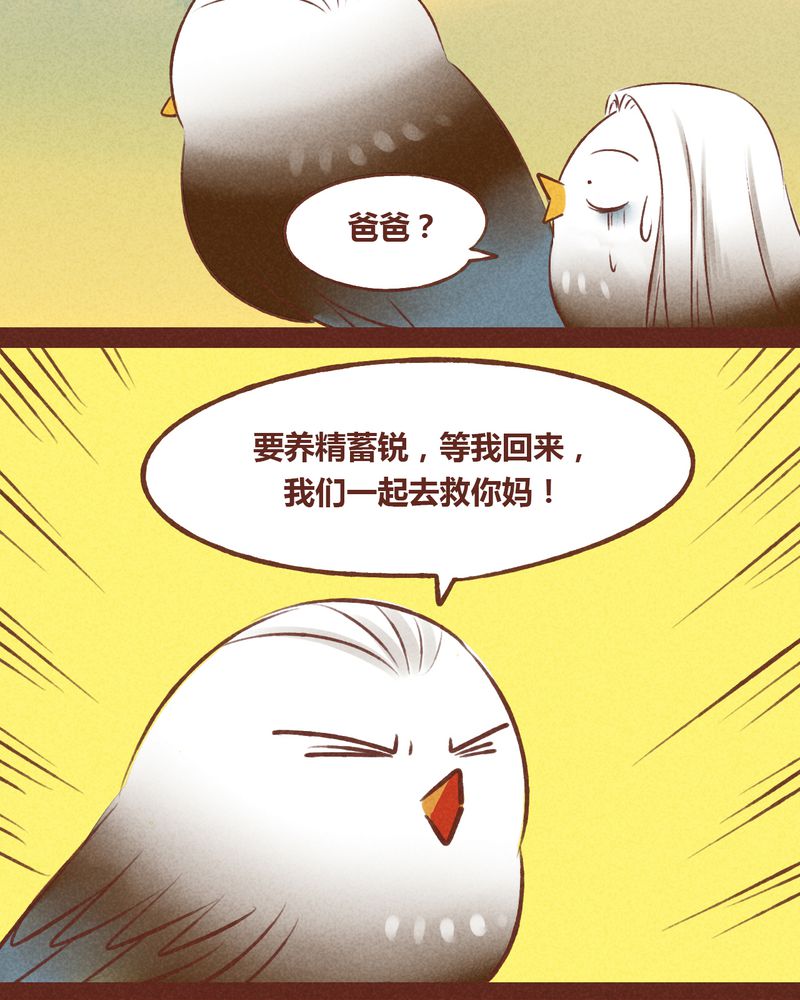 第43章：3