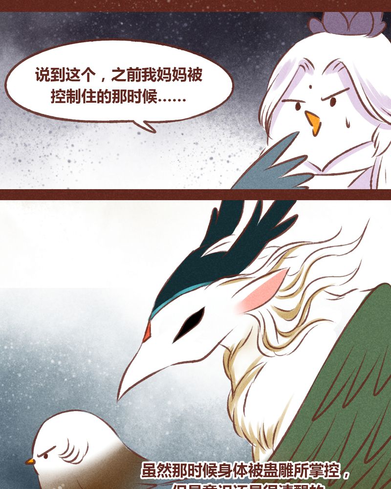 第55章：12