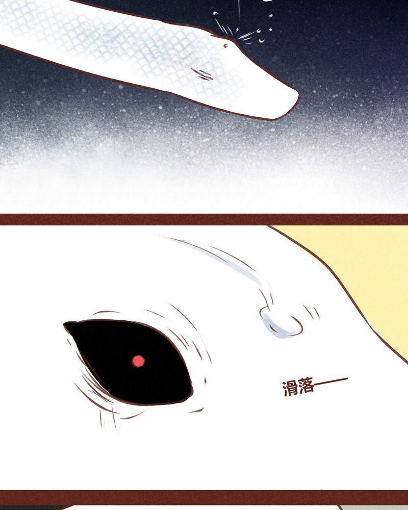 第72章：51