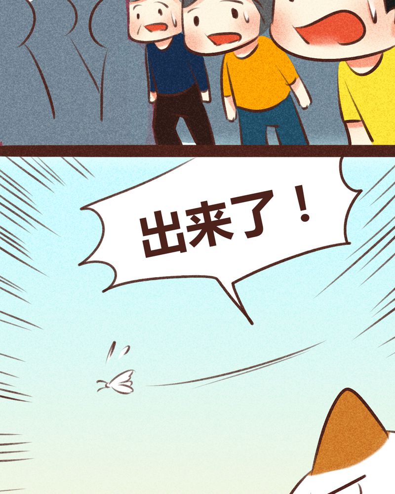 第95章：54
