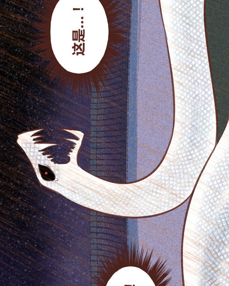 第67章：1