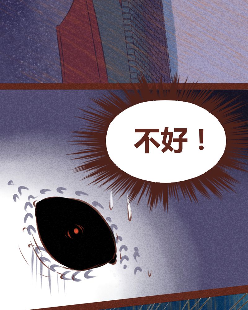 第67章：3