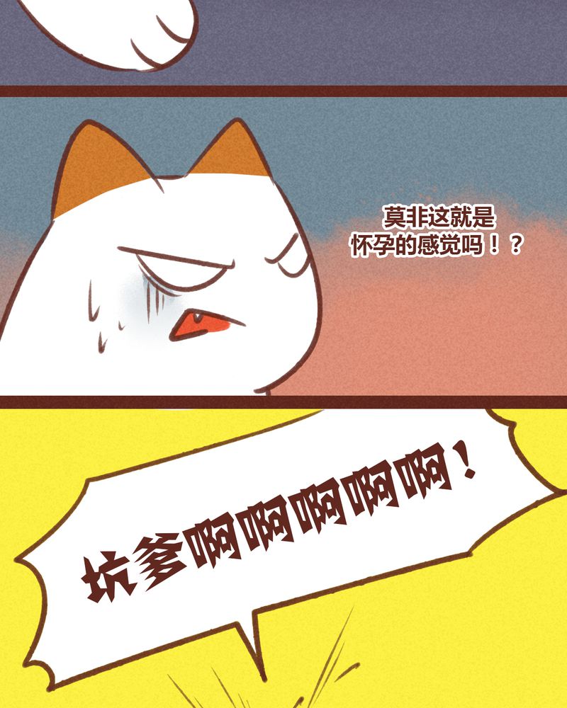第33章：20