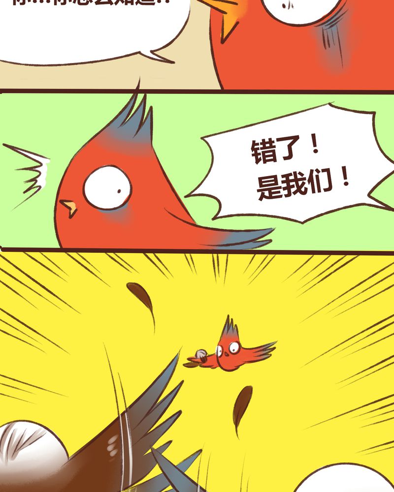 第15章：11