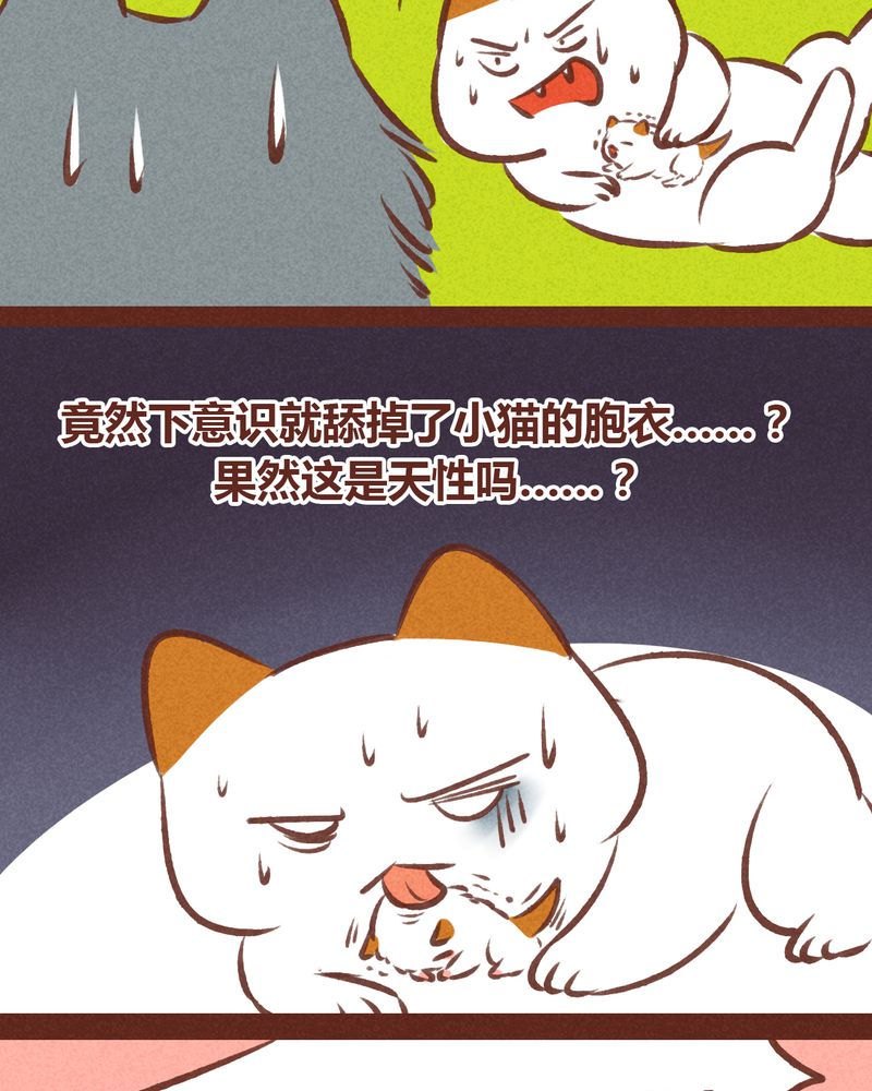 第63章：28