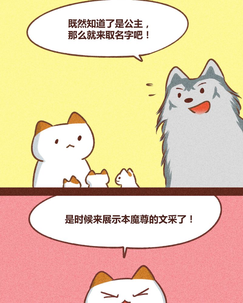 第79章：1