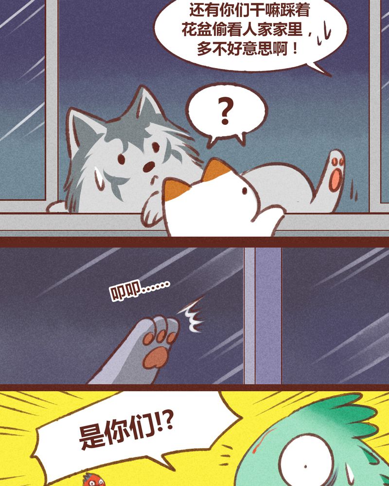 第24章：12