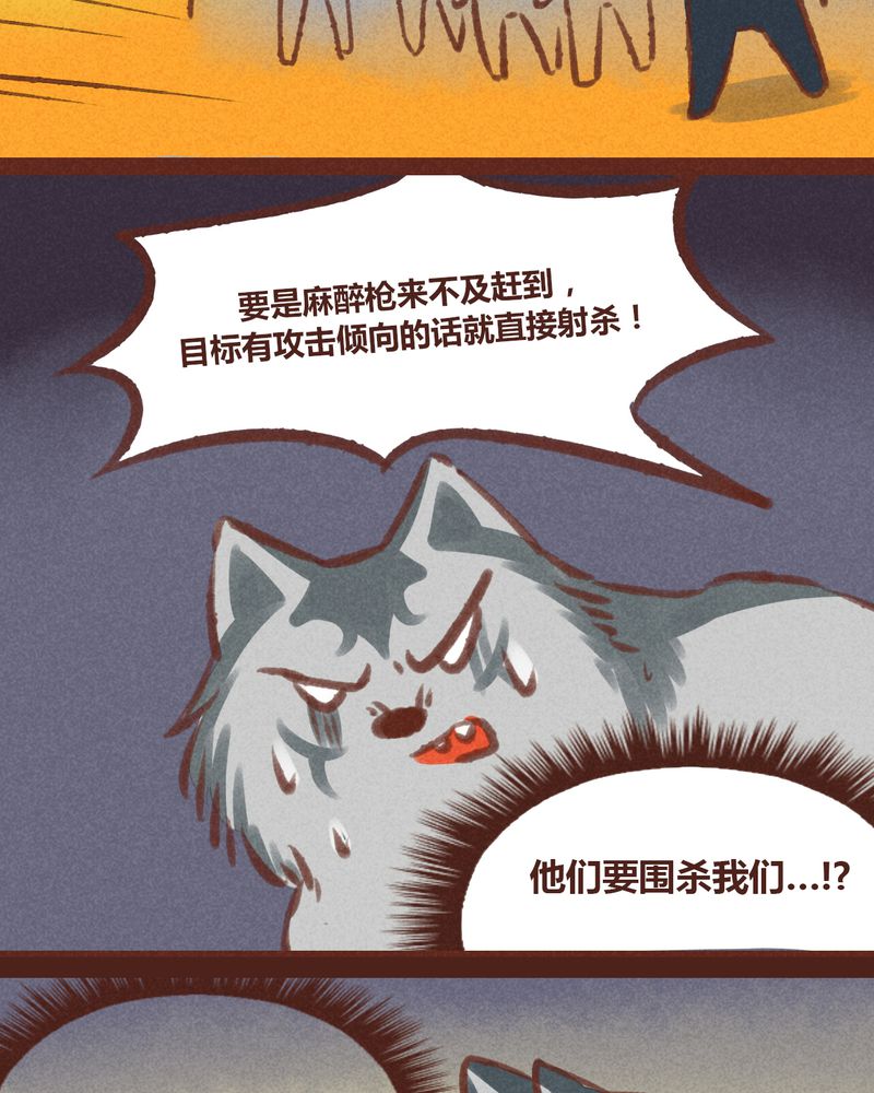 第20章：34