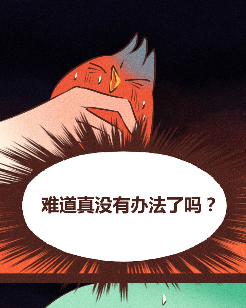 第95章：5