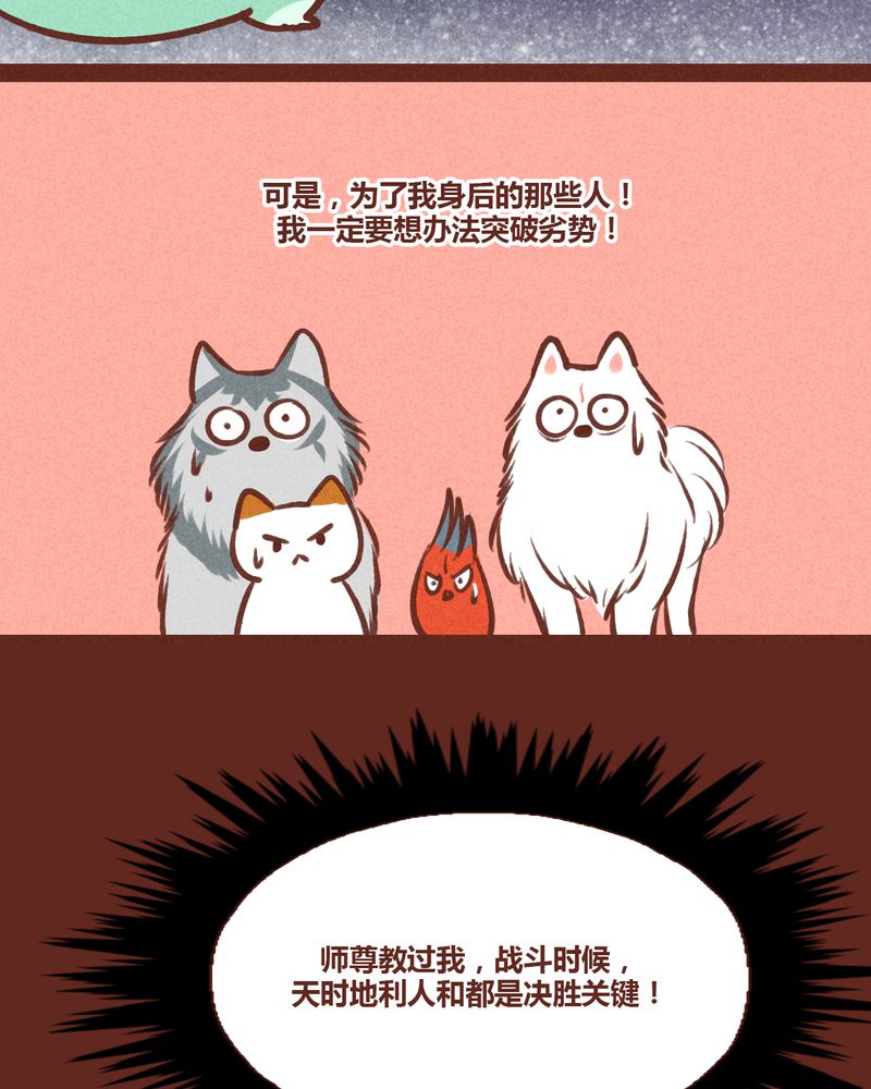 第38章：14