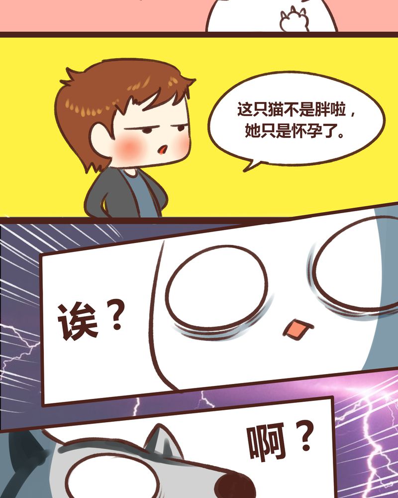 第17章：32